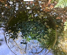 どちらを選ぶべきか？の時の決断のお助けをします イメージ1