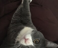 色々なお話をききます イメージ1