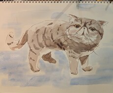 3000円でペットの水彩画を描きます 透明感重視！ココナラ出品記念！※シュミンケ利用　3000円