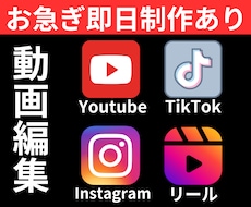 2本価格、動画編集、即日納品サービスあります ビジネス実績16年、TikTok、YouTubeなど動画編集