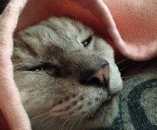 悩み事書いてみませんか イメージ1