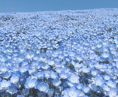 何でも話聞きます イメージ1