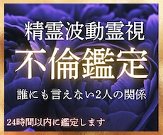 秘密の恋愛…精霊波動霊視で未来を視ます 彼の言葉を信じて良いの？2人のこれからは？全てお伝えします。