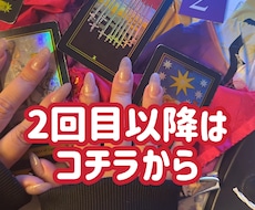 リピート様限定価格でございます イメージ1