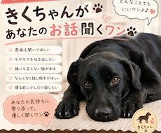 きくちゃんが優しくお話聞きます イメージ1