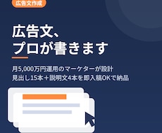 現役運用者がリスティング広告文を作成します イメージ1
