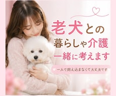 老犬との暮らしや介護のお悩みを一緒に考えます 食事・排泄・寝たきりなど、愛犬の介護をサポートします