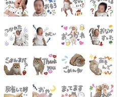 わが子・ペットの写真でLINEスタンプ作ります イメージ1