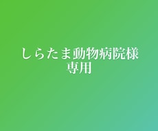 しらたま動物病院様専用ます こちらはしらたま動物病院専用ページです。