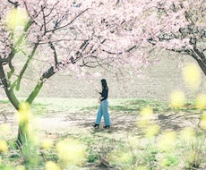写真編集します イメージ1