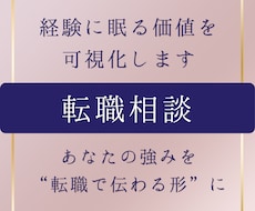 採用専門家があなたの職務経歴書をゼロから作成します イメージ1