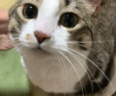悩みも愚痴も何でも聞きます イメージ1