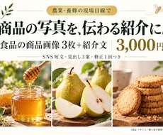 食品の商品画像3枚と紹介文をまとめて作ります イメージ1