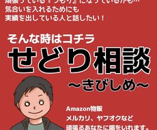 店舗せどりの相談に何でも答えます 自分の力だけで限界を感じた方や、もう一歩上がりたい方！