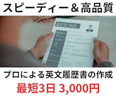 迅速＆高品質＆低価格！プロが英文履歴書作成します デザイン省略＆シンプル校正で、価格を押さえて高品質な内容！