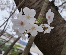 お話しお聴きします イメージ1