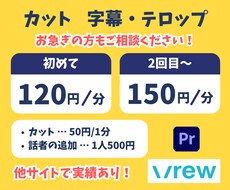 1フレームにこだわったテロップ作成します フルテロップ【1分120円～】｜カット【1分50円】