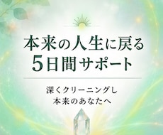 本来の人生に戻る5日間サポートします 不要なエネルギーや記憶を深くクリーニングし、本来のあなたに
