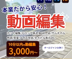 PR動画、マニュアル動画、SNSなど編集致します イメージ1