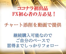 商品名GOLDRUSH ロジック購入者が使えます チャート添削を動画で提供後の疑問点を電話で解決します