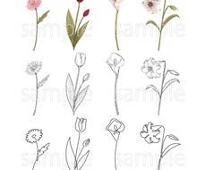 色々なテイストの植物イラスト描きます イメージ1