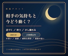 相手の気持ちと今選ぶ一手を3枚で読みます 今合う案・代案・見送る案と、7日間の動き方を返します