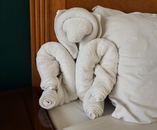 介護現場に強く、ケアマネジャーが受け止めますます イメージ1