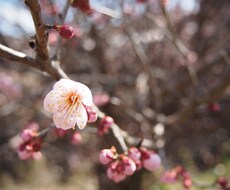 職場の人間関係のお悩み相談に乗ります イメージ1