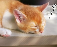 何時からでも大丈夫❤️眠くなるまでお話ききます イメージ1