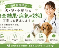 現役獣医師がペットの検査結果・健康診断を解説します 難しい検査結果や健康診断も、分かりやすくご説明します。