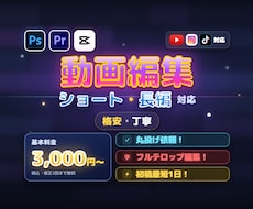 YouTube等の動画の編集を代行をいたします イメージ1