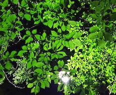 遺族の方へグリーフケアします イメージ1