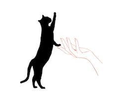 猫の手相談室～否定せず、静かにお話お聞きします イメージ1