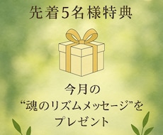 魂の設計図×宇宙リズム鑑定【先着特典あり】ます イメージ1