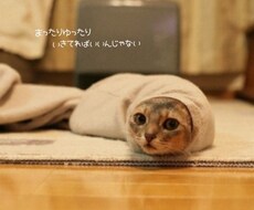 お話聞きます イメージ1