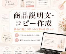 商品の魅力が伝わる説明文を作成しますます EC向けキャッチコピー・商品説明文に対応