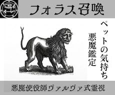 ヴァレファルを召喚しペットの本音を暴き絆を深めます 使役している悪魔ヴァレファルがペットの本音を暴き相性を占う