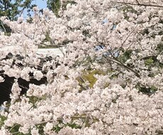 夫婦間の相談に乗ります イメージ1