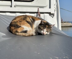 33歳　ゆっくりとお話し聞きます イメージ1