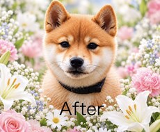 AIで写真をキレイに補正・加工します イメージ1