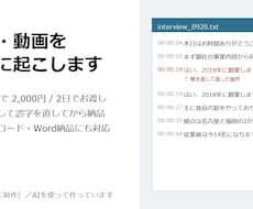 音声・動画を30分まで文字起こしします イメージ1