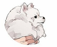 ブログやSNSがもふもふに！動物のイラスト描きます 大切なペットや好きな動物のもふもふかわいいイラストを描きます