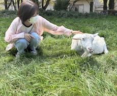 大好きなお相手の気持ち占います 現状から未来までお相手の気持ちの変化を占います