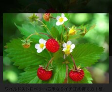 聞きます イメージ1