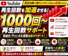 YouTube再生回数増えるまで拡散宣伝します 再生回数1000〜.安心安全に確認宣伝します！