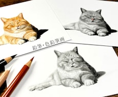 大切なペットとの思い出を鉛筆・色鉛筆画にします 大切な家族との幸せな時間を、温もりある作品として残します