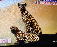 秒速で犬のしつけしたい方へ提案しています 元気が、よ過ぎるワンチャンにも、業者依頼不要¥たちまち逆転！