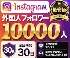最安価！インスタのフォロワー1万人増やします イメージ1