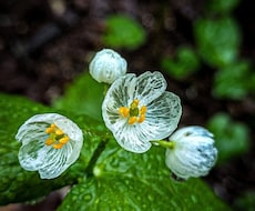 あなたの心の思い受け取ります 雑談トークでもOK！心のモヤモヤ手放してください！
