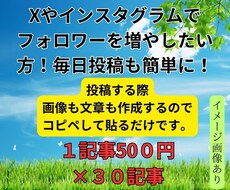 X（ツイッター）インスタグラム、ブログ記事書きます フォロワーを増やしたい方、投稿内容や画像選定が大変な方必見。